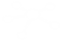 12.png